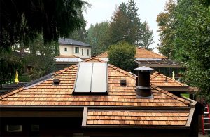 Cedar roof with skylights