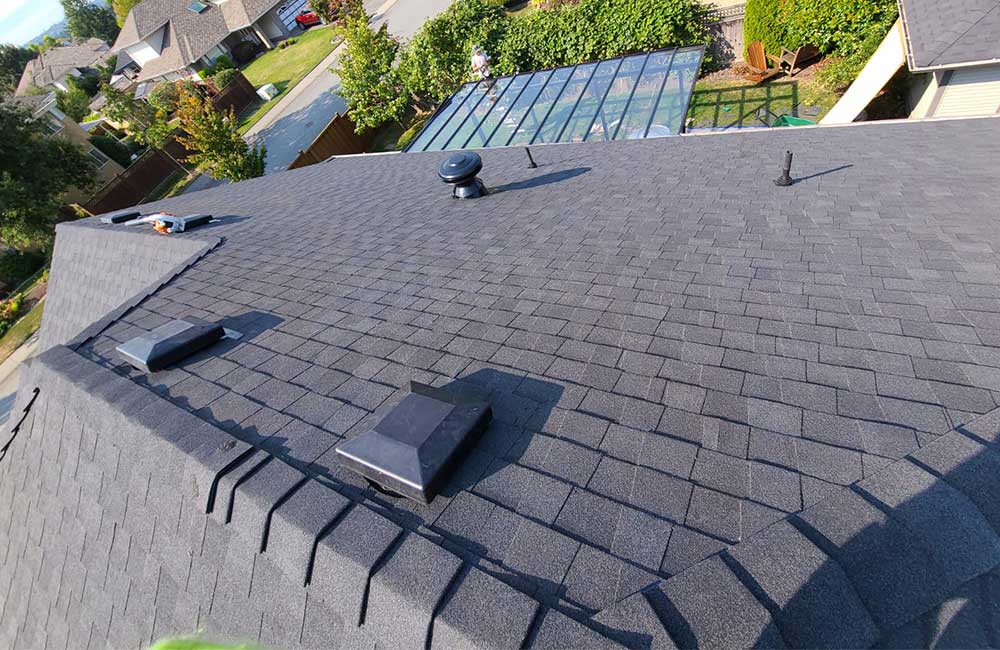 Asphalt shingle moire black roof